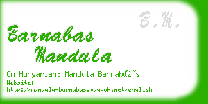 barnabas mandula business card